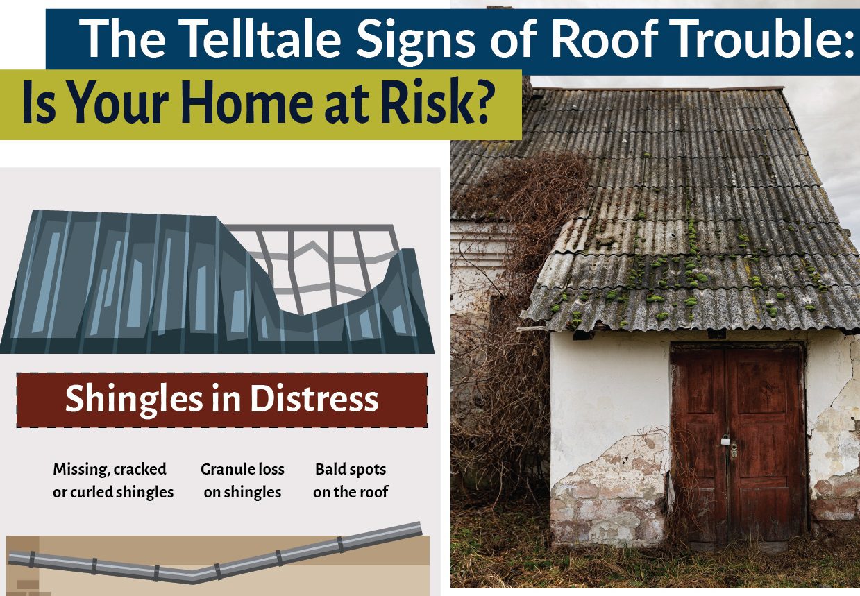 Roof Repair infographic from Red River Roofing