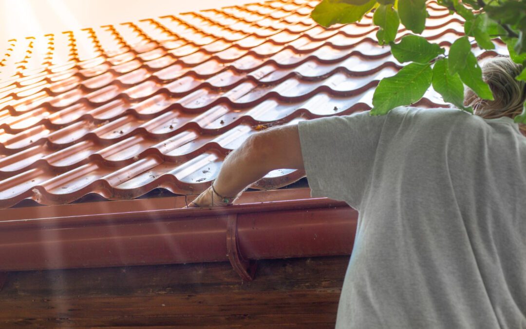 Are Gutters the Ultimate Solution to Rainwater Woes?