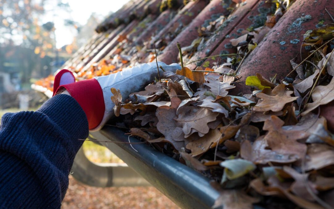When to Call Gutter Damage Repair Experts For Your Home?