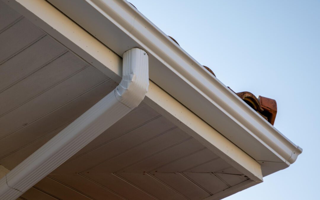 Which Performs Better – Leaf Guard or Gutter Guard?