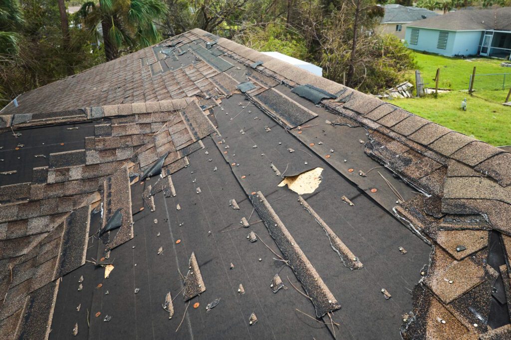 roof shingle damage